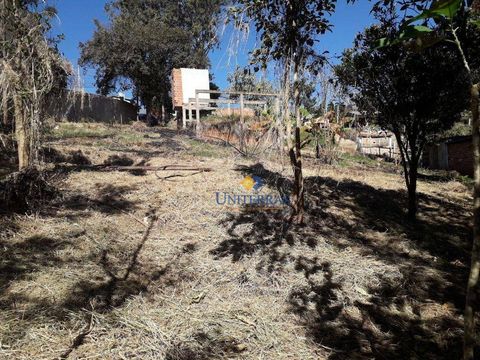 Foto Terreno