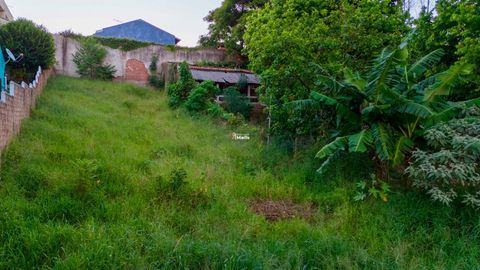 Foto Terreno