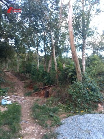 Foto Terreno