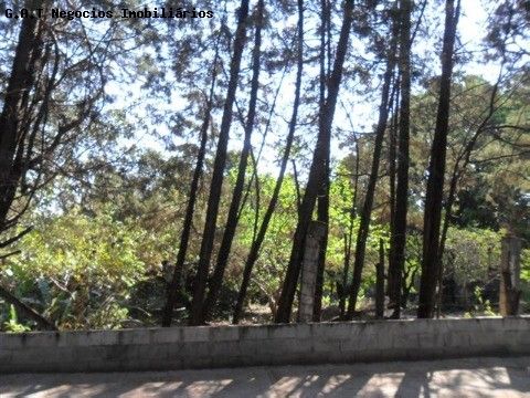 Foto Terreno
