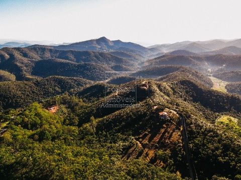 Foto Terreno