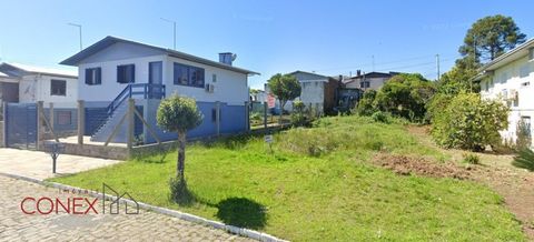 Foto Terreno