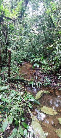 Foto Fazenda / Sítio / Chácara