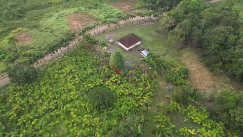 Foto Fazenda / Sítio / Chácara