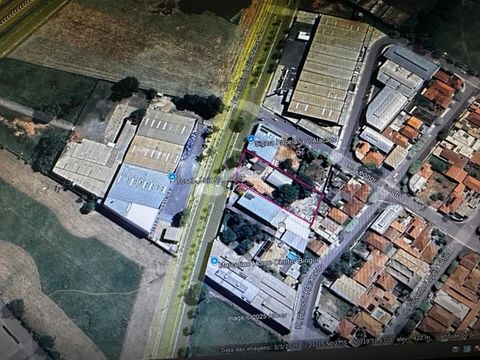 Foto Terreno