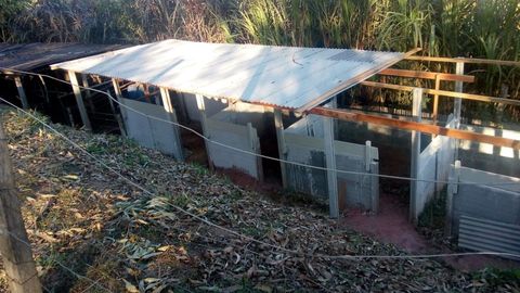 Foto Fazenda / Sítio / Chácara