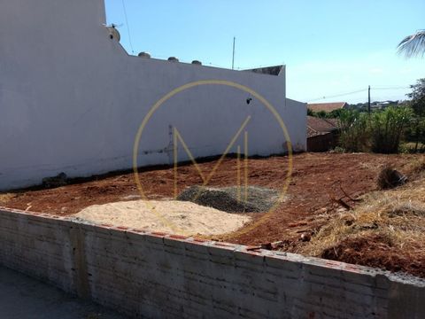 Foto Terreno