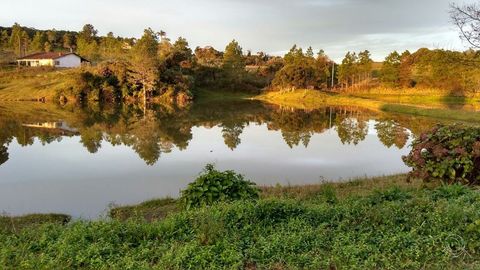 Foto Fazenda / Sítio / Chácara