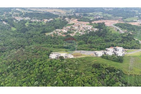 Foto Terreno