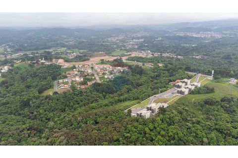Foto Terreno