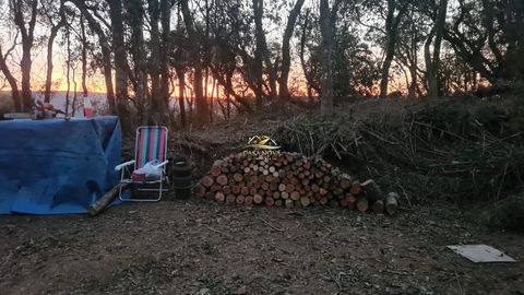 Foto Fazenda / Sítio / Chácara