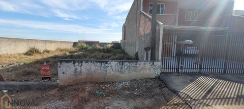 Foto Terreno