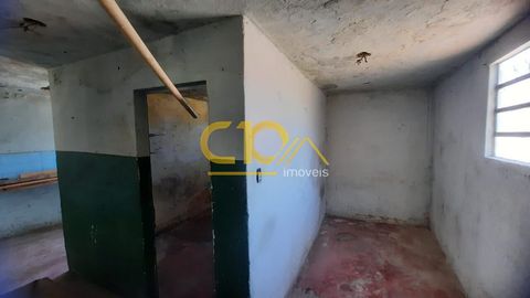 Foto Terreno