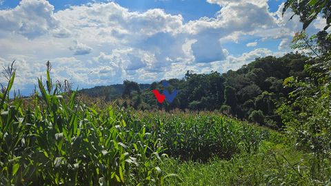 Foto Fazenda / Sítio / Chácara