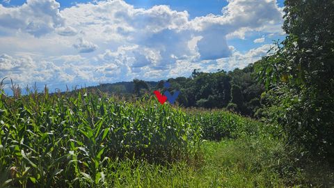 Foto Fazenda / Sítio / Chácara
