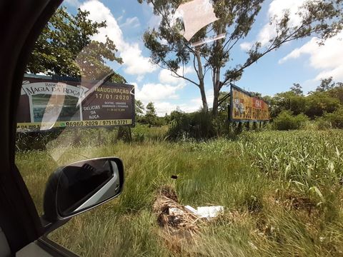Foto Terreno