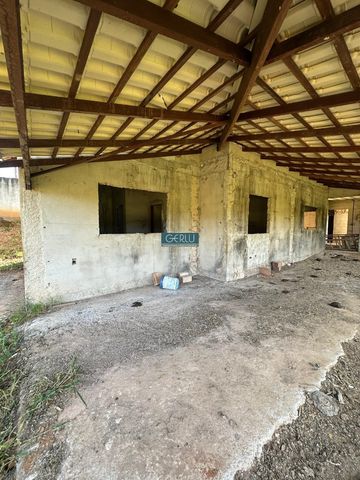 Foto Fazenda / Sítio / Chácara