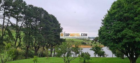 Foto Fazenda / Sítio / Chácara