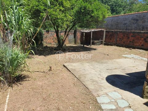 Foto Terreno