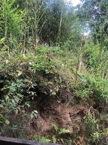 Foto Terreno