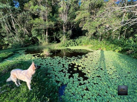 Foto Fazenda / Sítio / Chácara