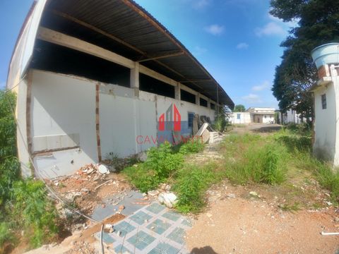 Foto Galpão / Depósito / Armazém / Pavilhão