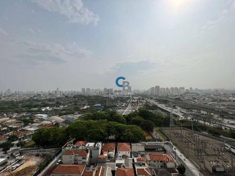 Foto Sala / Conjunto Comercial