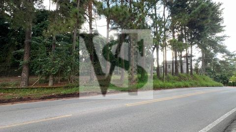 Foto Sala / Conjunto Comercial