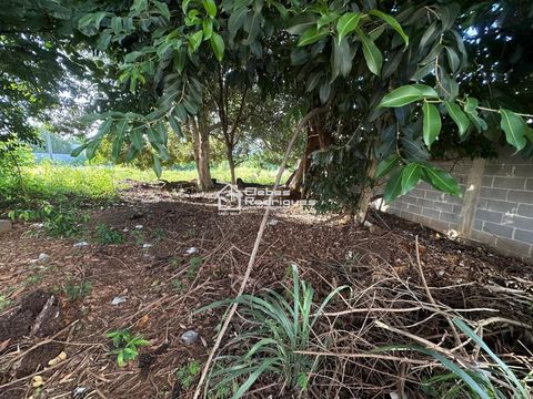 Foto Terreno