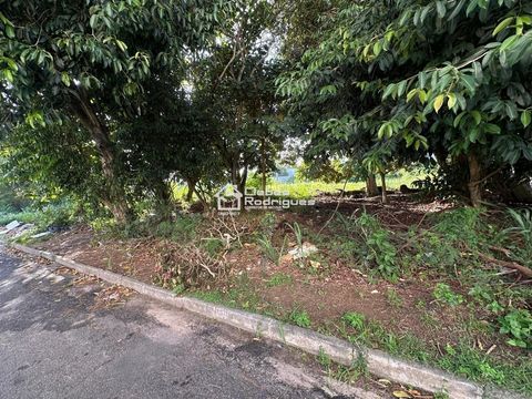 Foto Terreno