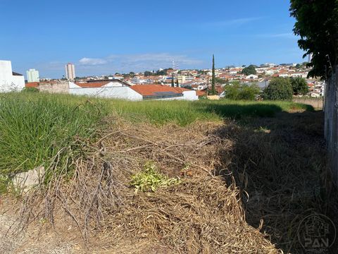 Foto Terreno
