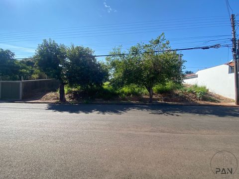Foto Terreno