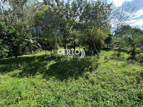 Foto Terreno