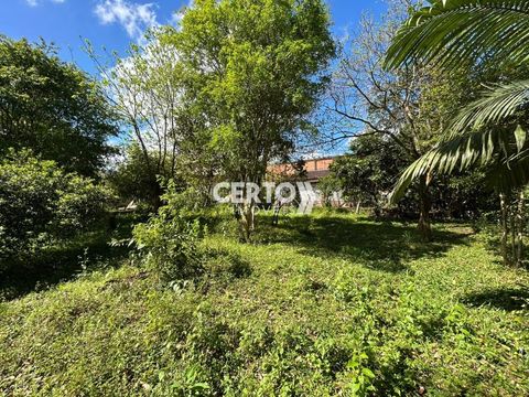 Foto Terreno