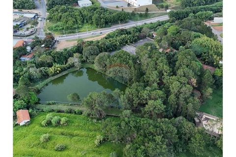 Foto Terreno