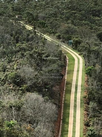 Foto Terreno