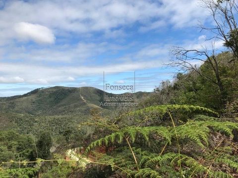 Foto Terreno