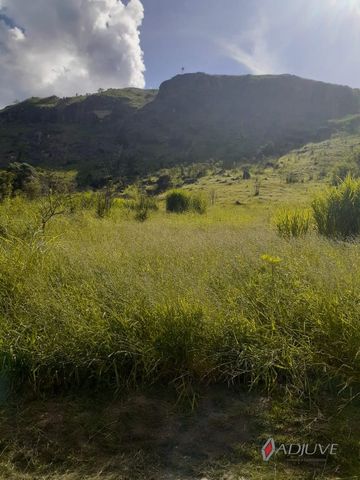 Foto Terreno