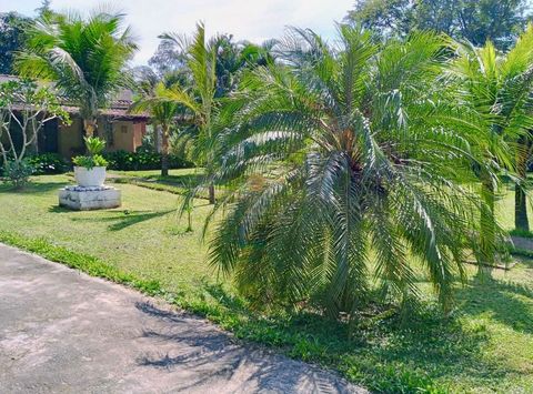 Foto Fazenda / Sítio / Chácara