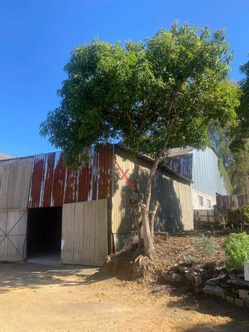 Foto Galpão / Depósito / Armazém / Pavilhão