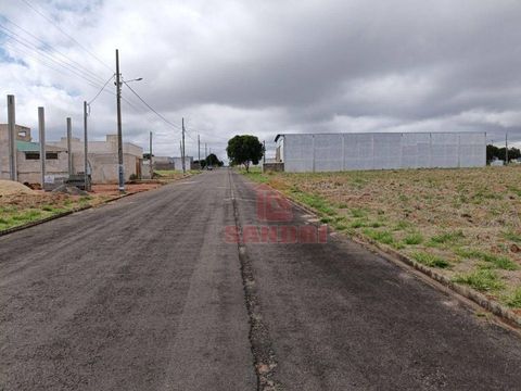 Foto Terreno
