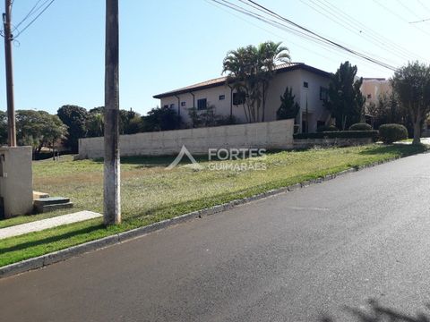 Foto Terreno