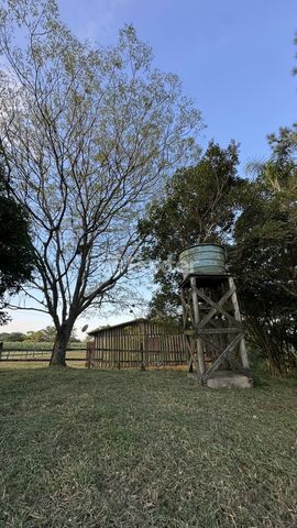 Foto Fazenda / Sítio / Chácara