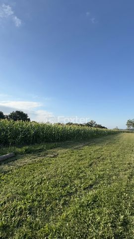 Foto Fazenda / Sítio / Chácara