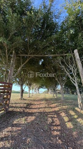 Foto Fazenda / Sítio / Chácara