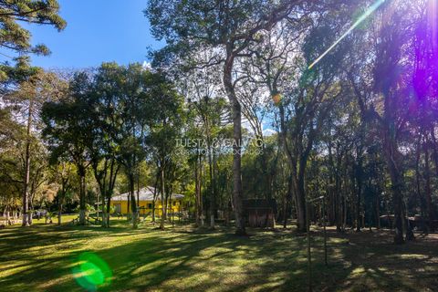 Foto Fazenda / Sítio / Chácara