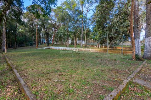 Foto Fazenda / Sítio / Chácara