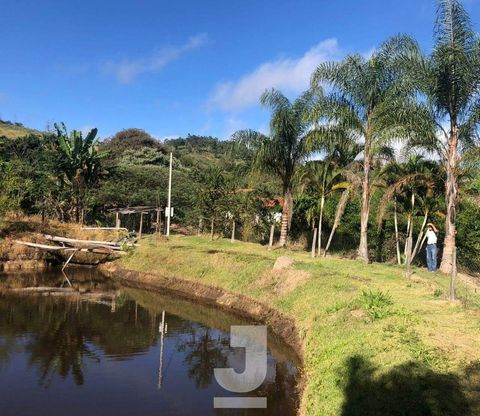 Foto Fazenda / Sítio / Chácara