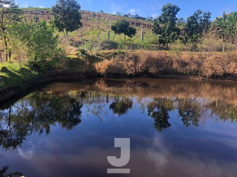 Foto Fazenda / Sítio / Chácara
