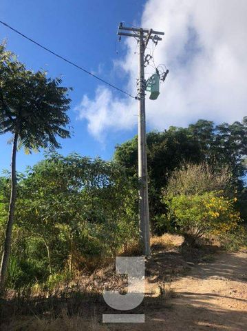 Foto Fazenda / Sítio / Chácara